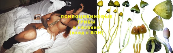прущая мука Аркадак