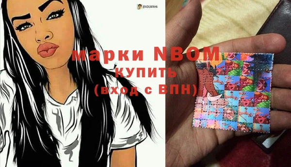 хмурый Алзамай