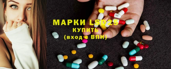 хмурый Алзамай