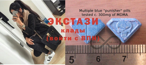 индика Козловка