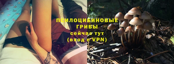 Альфа ПВП Армянск