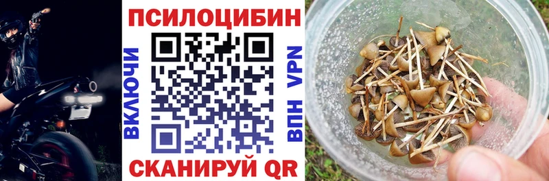 Псилоцибиновые грибы мицелий  Чернушка 